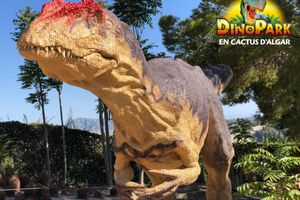 Actividad - Dinopark Algar
