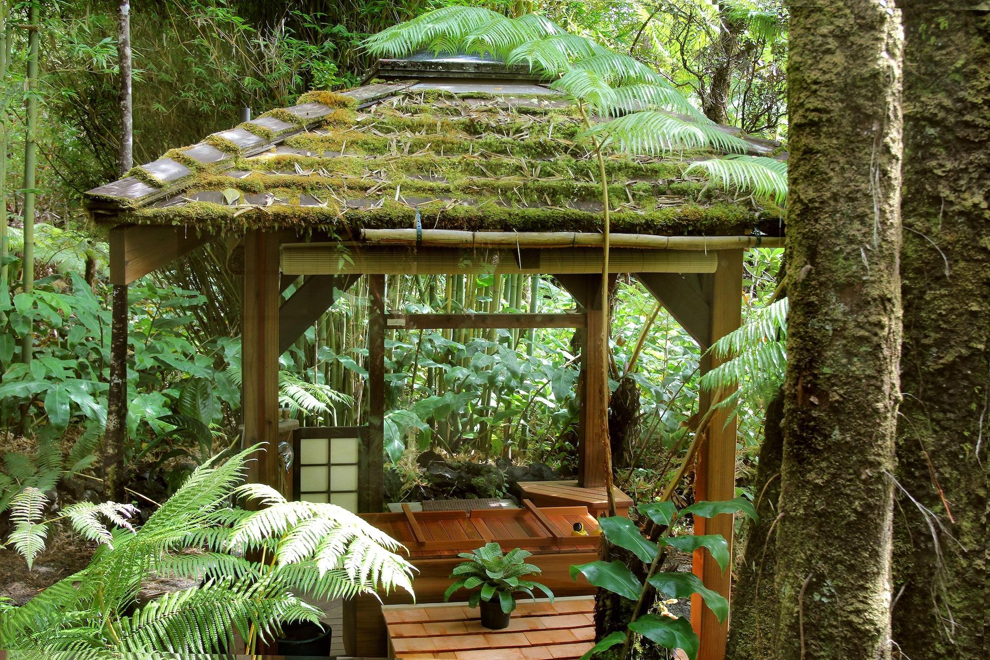 Vista Piscina Volcano Rainforest Retreat