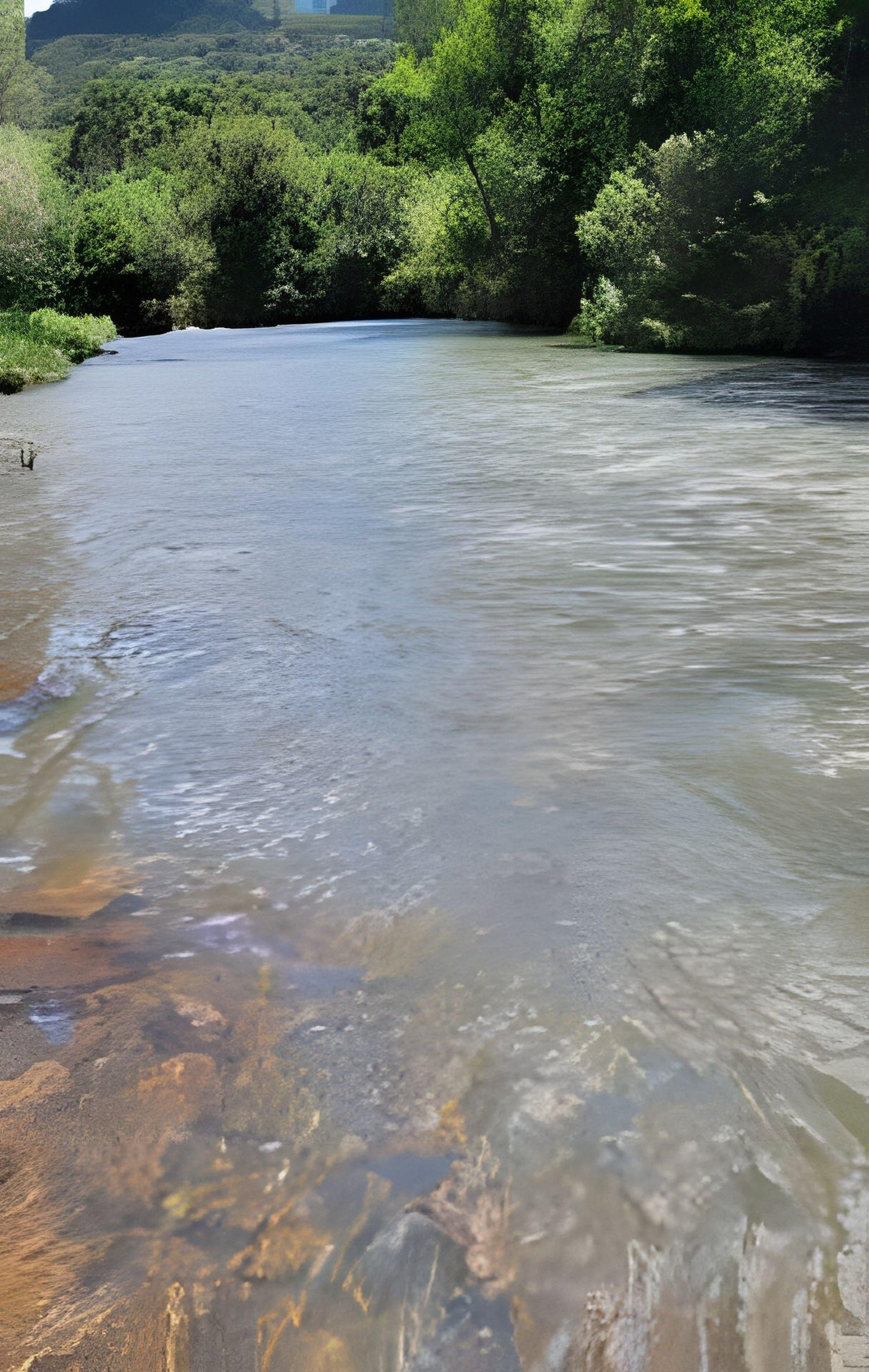 Comodidades del Alojamiento Cabana Pequeno Bosque C/Jacuzzi