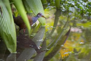 Alojamiento - Casa Luna Hotel & Spa