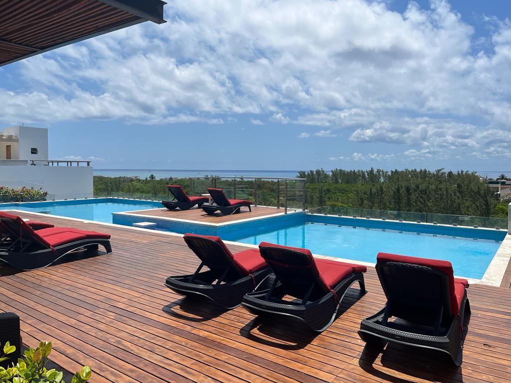 Vista Piscina Hotel Grand Fifty Suites
