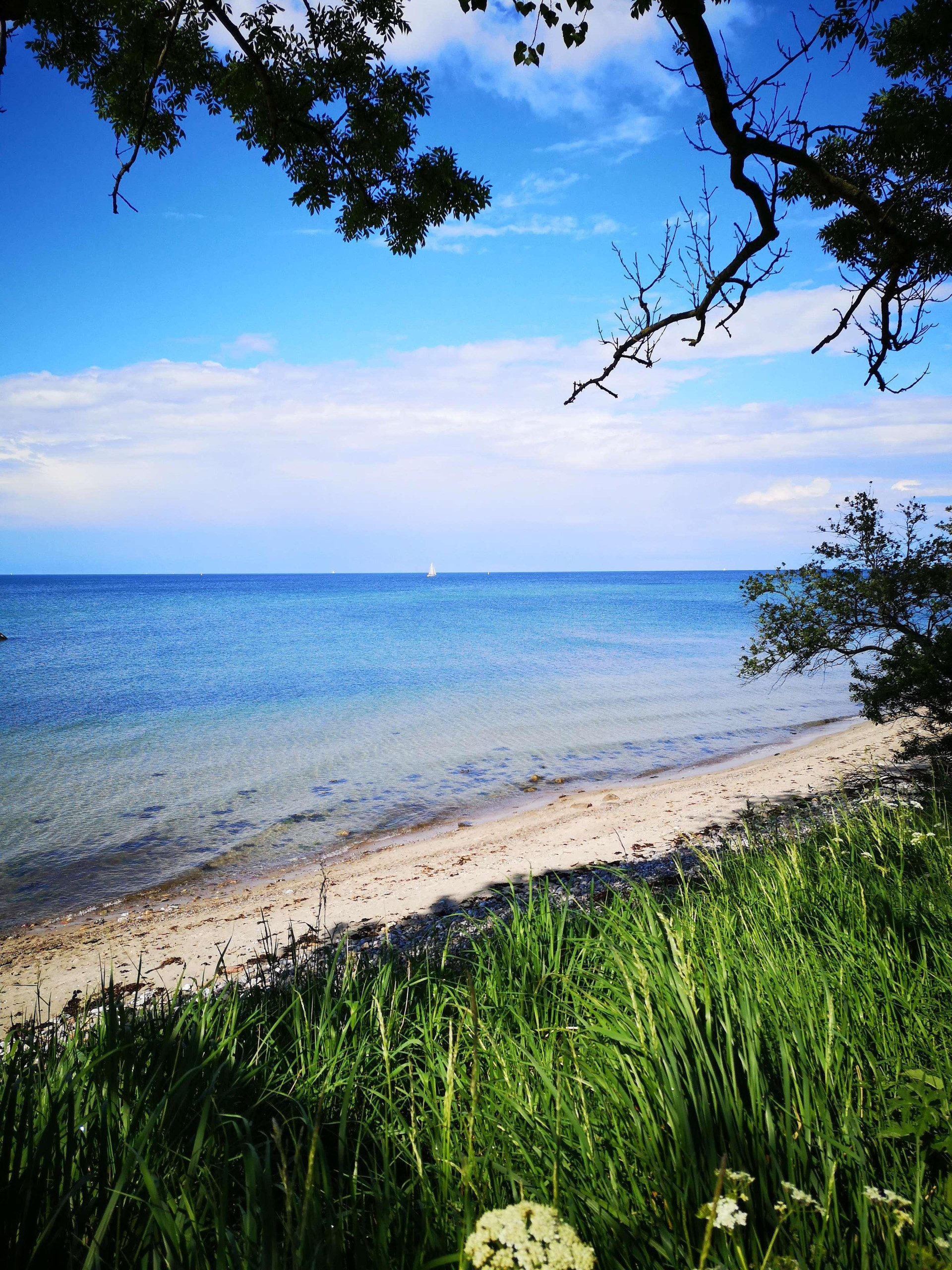 Playa Ringhotel Birke