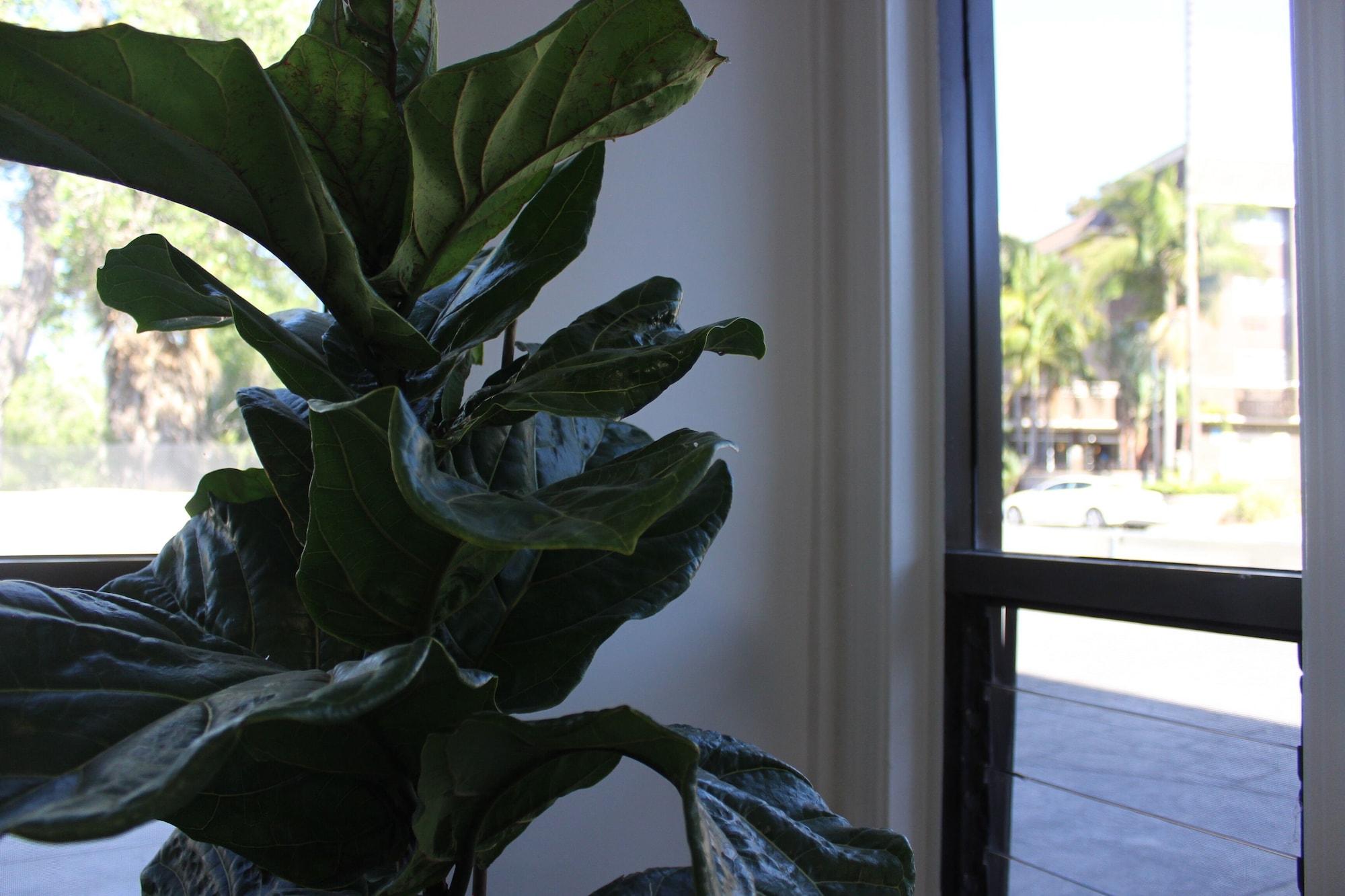 Vista Lobby Riverleaf Inn Mission Valley