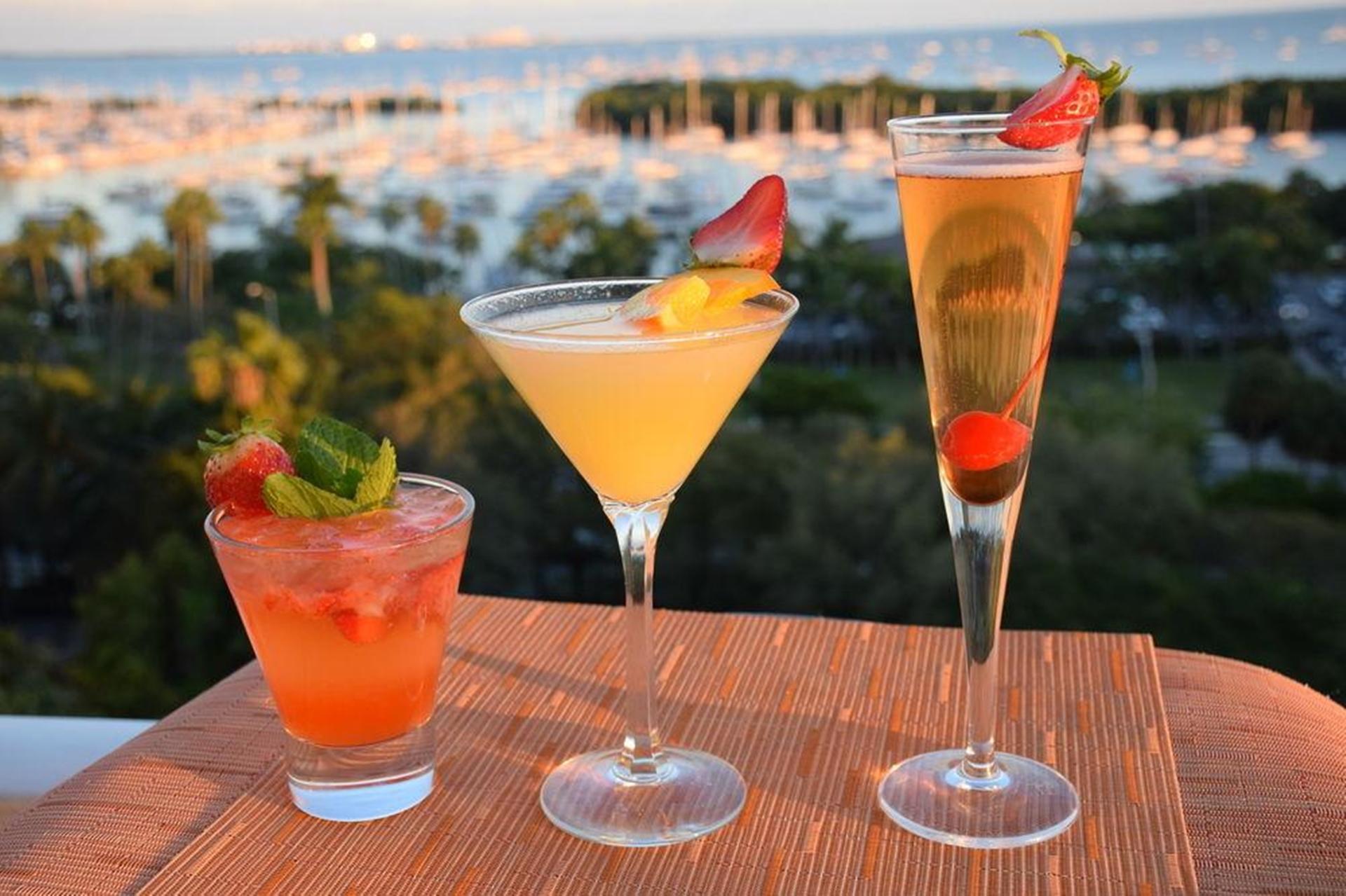 Hotel Sonesta Coconut Grove Miami