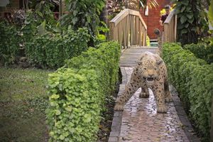 Alojamiento - Hotel El Auca