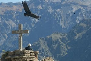 Actividad - Tour al Valle del Colca. Full Day