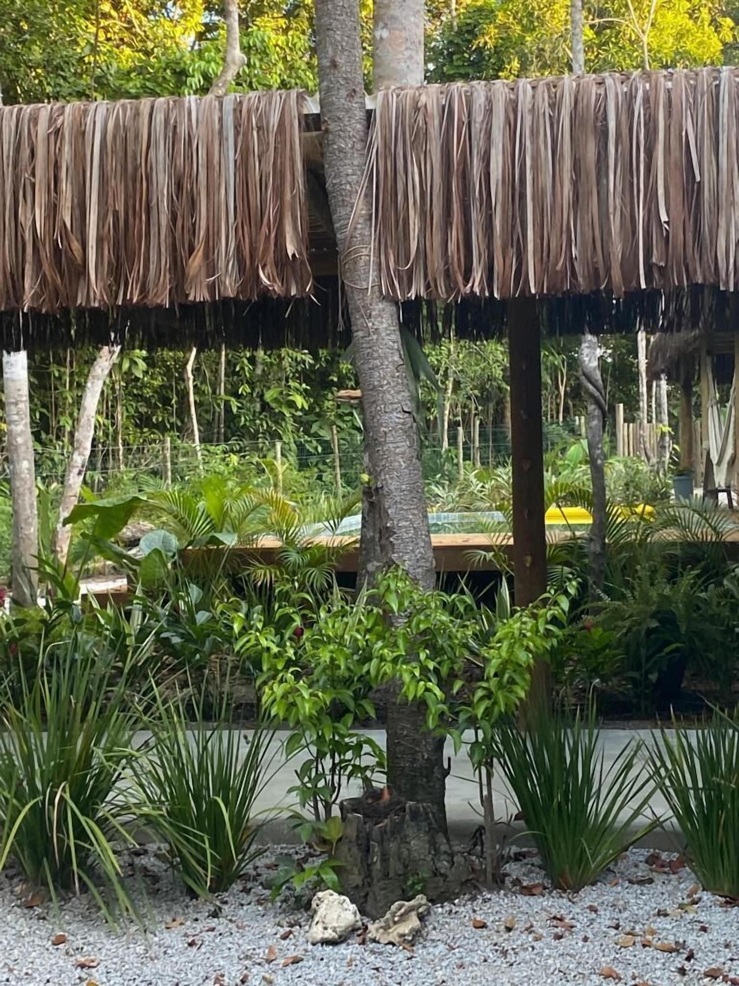 Vista Lobby CASA SUKHA HOTEL