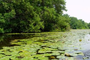 Actividad - Tour Parque Nacional Natural Isla De Salamanca