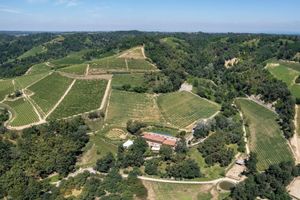 Alojamiento - Agrisuite Le Querce del Vareglio