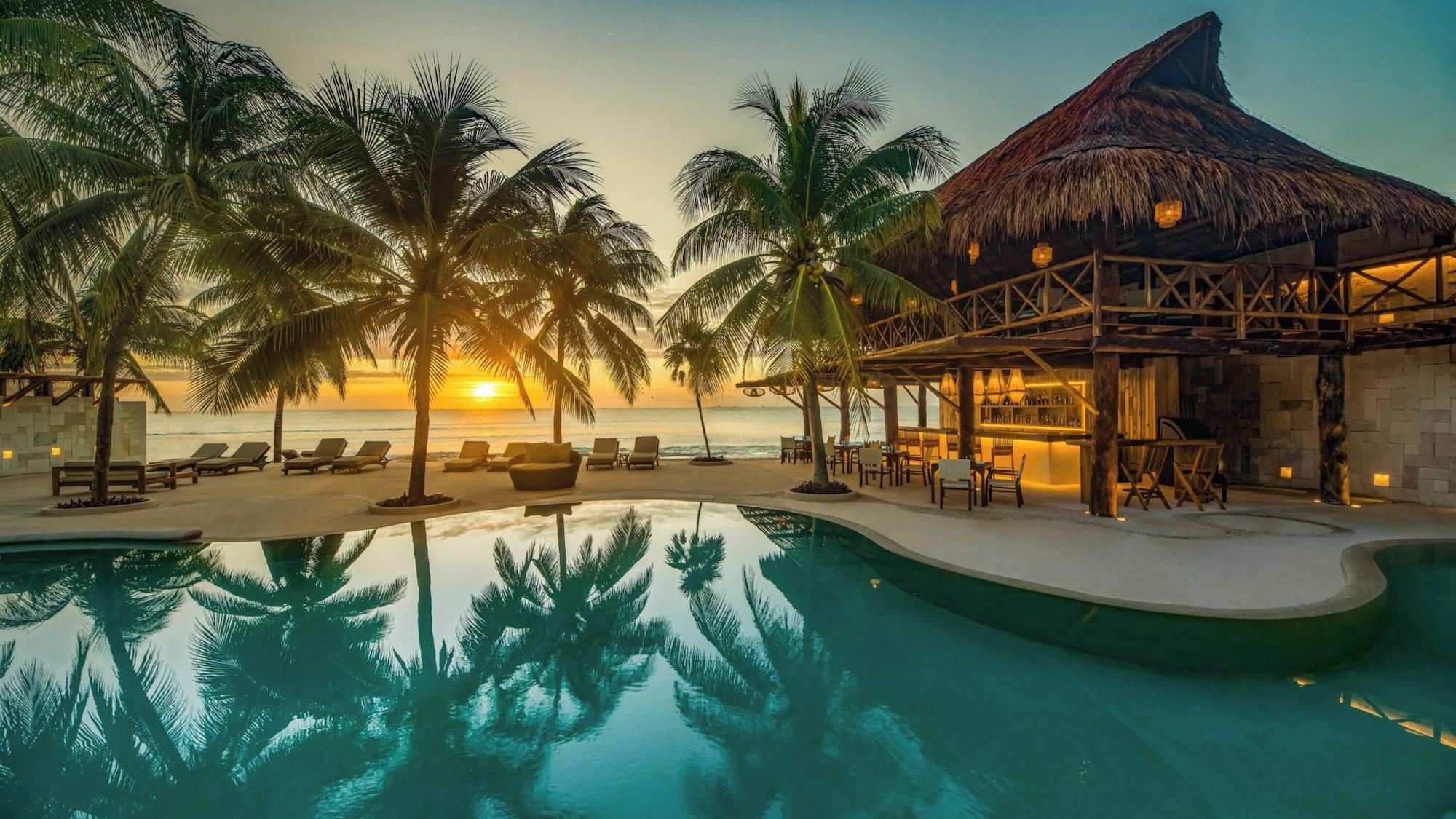Vista Piscina Viceroy Riviera Maya All Inclusive