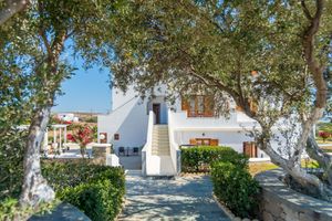 Paquete - Konstantinos