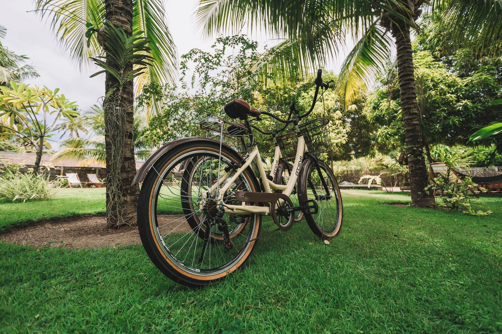 Varios Ocacocar Milagres