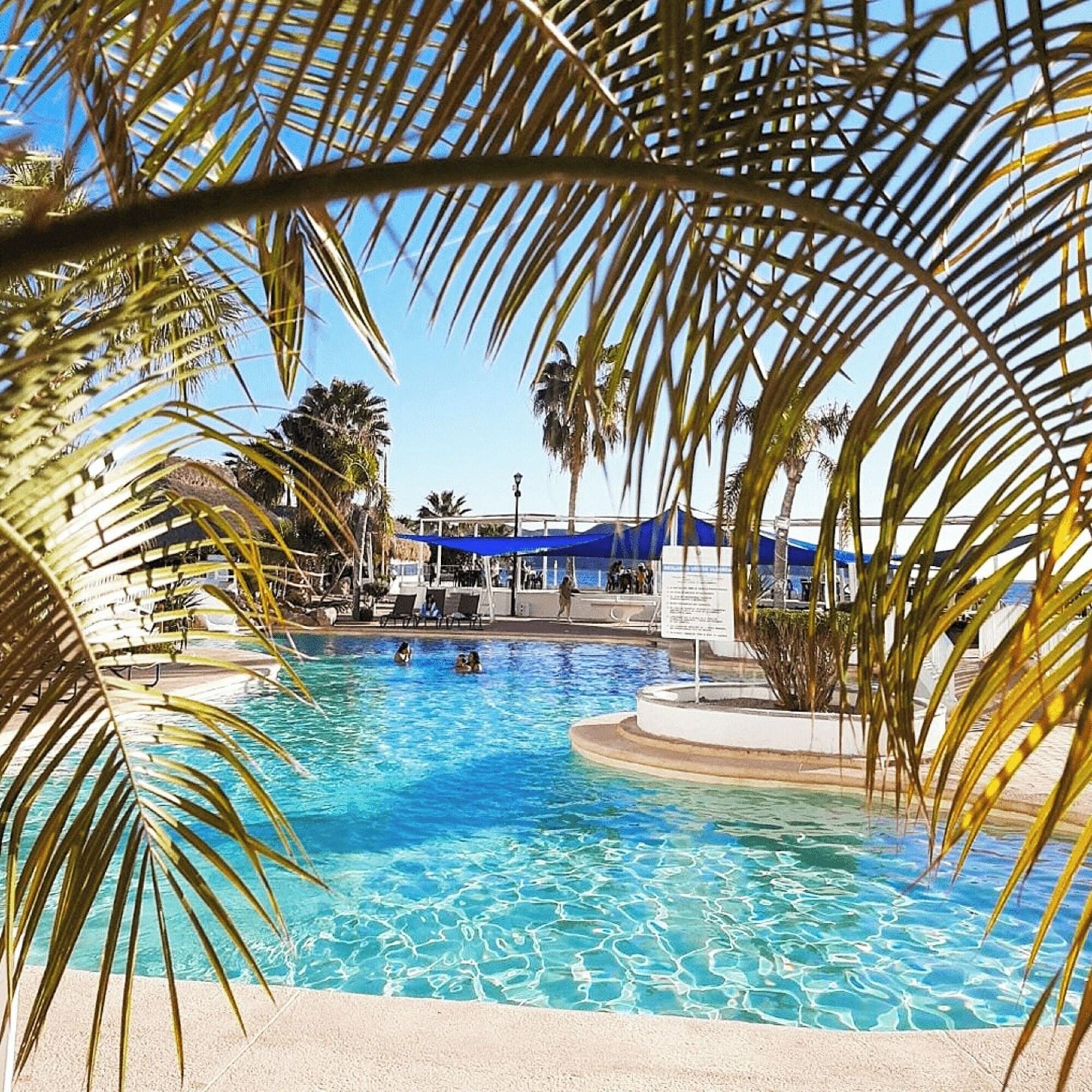 Vista Piscina Hotel San Carlos Plaza