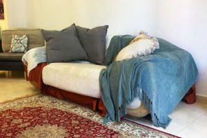 Alquiler Vacacional - Octavius Holiday Home, Large 2 BR Apt near Global Village & Dubai Outlet Mall