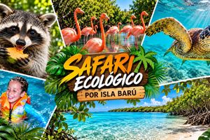 Actividad - Safari Ecológico por Isla Barú