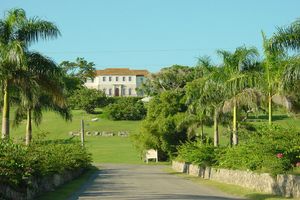 Actividad - Recorrido por la ciudad de Montego Bay y la Bruja Blanca