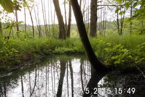 Alquiler Vacacional - Holidays in wooded and water-rich surroundings - far away from stress and hectic