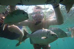 Actividad - Isla Ixtapa: Un paraíso familiar