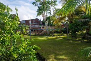 Alojamiento - Otorongo RestoBar & Eco Guest House