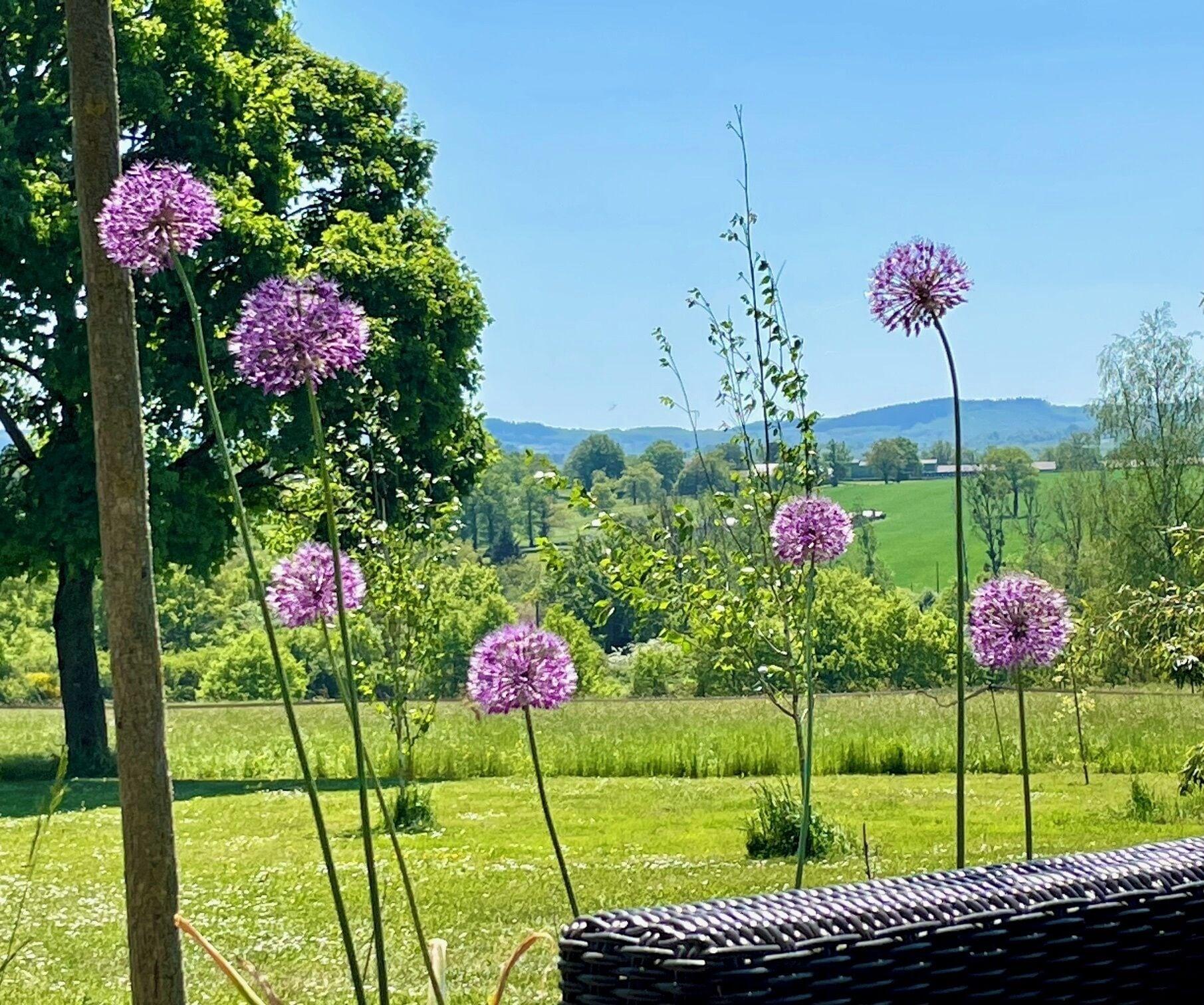 Vista Exterior Le Rianon