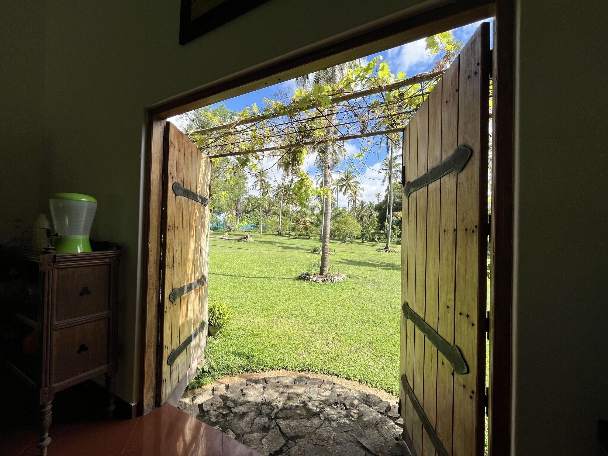 Vista Lobby Rivendell Twisted Tree