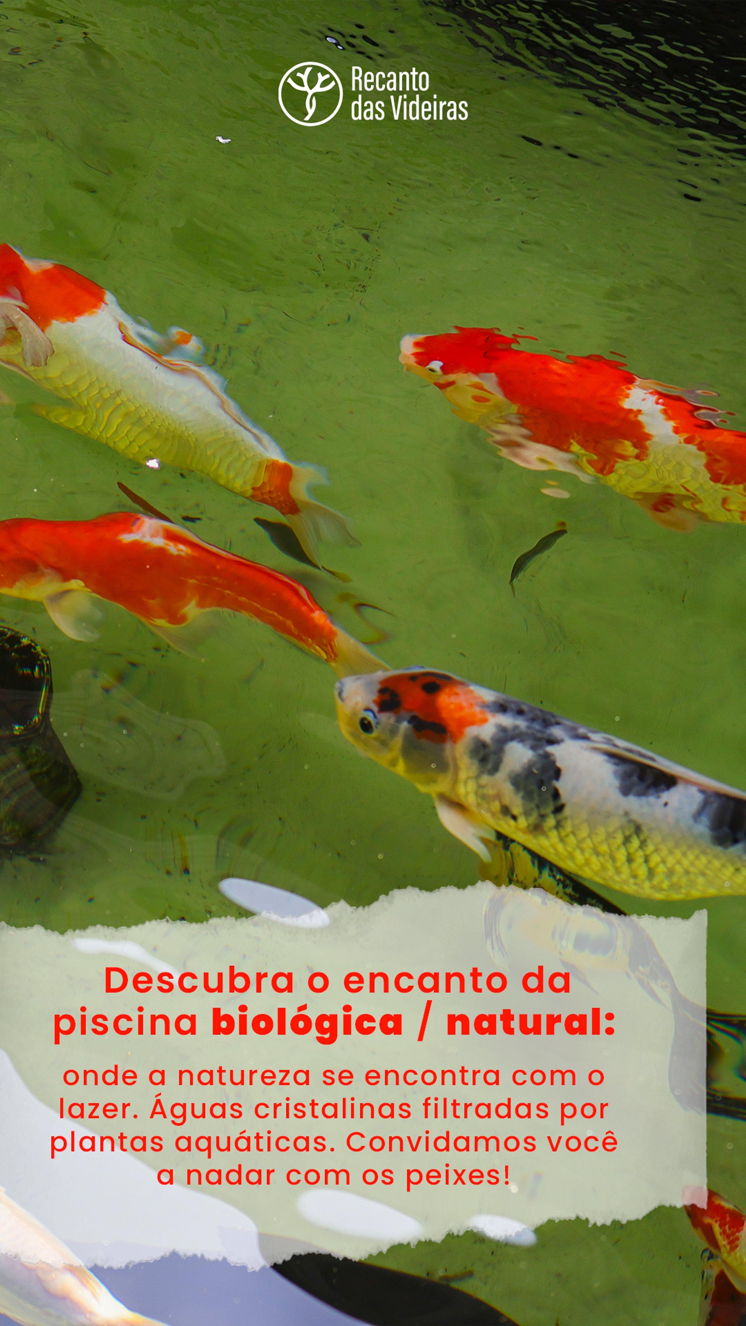 Instalaciones Recreativas Estúdio em Contêiner no Bosque