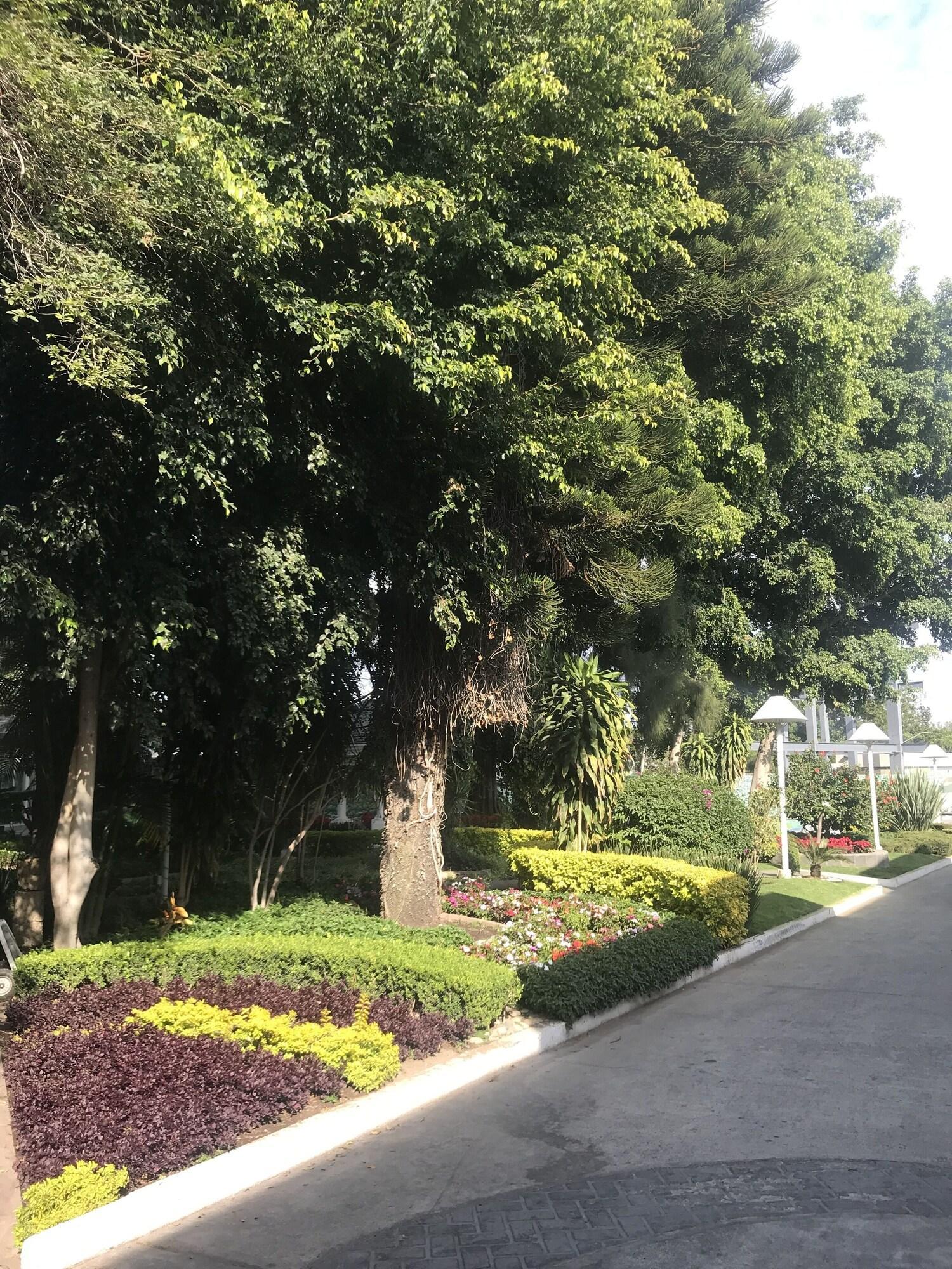 Vista Exterior Ronda Minerva