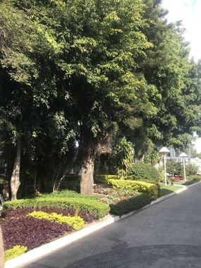 Ronda Minerva - Hoteles cerca de La Minerva en Guadalajara