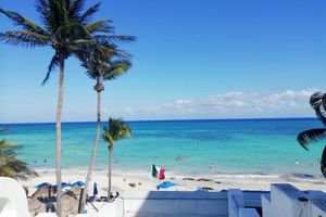 Hotel - Pelicano Inn Playa del Carmen - Beachfront Hotel
