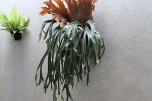 Alojamiento - Casa Living Setiabudi Jakarta