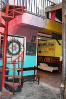 Alojamiento - The Grapevine Hostel