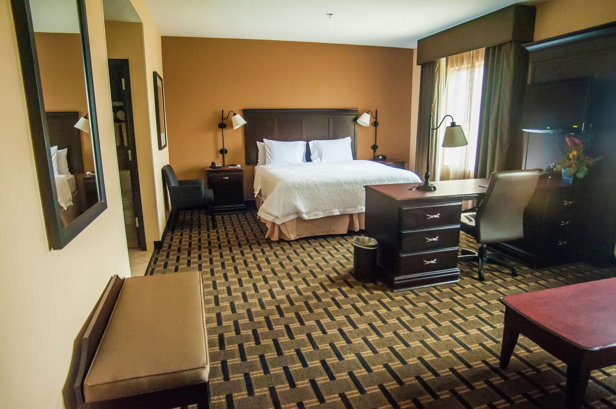 Habitación Hampton Inn & Suites Palestine