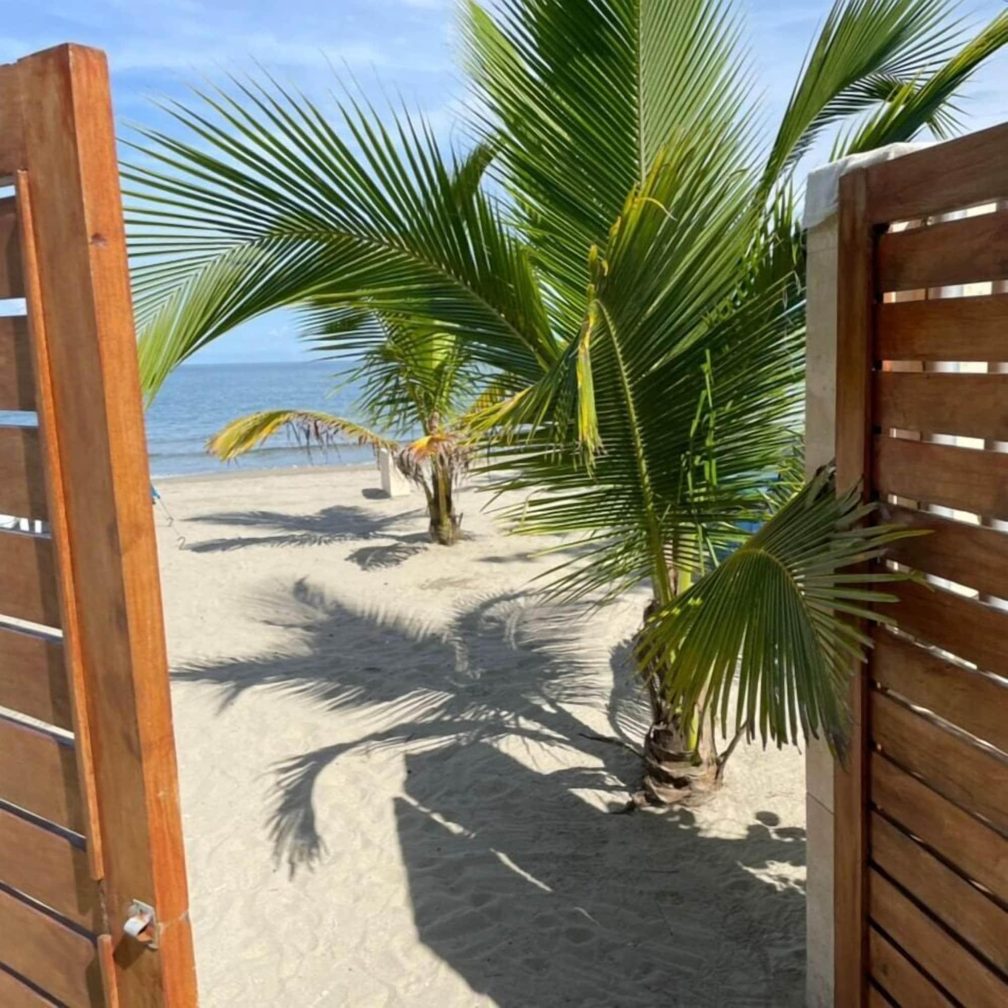 Playa Camino Palmero Coveñas
