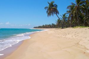 Paquete - Paquetes a Maceió