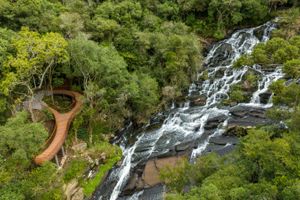 Actividad - Boleto de entrada al Parque Caracol