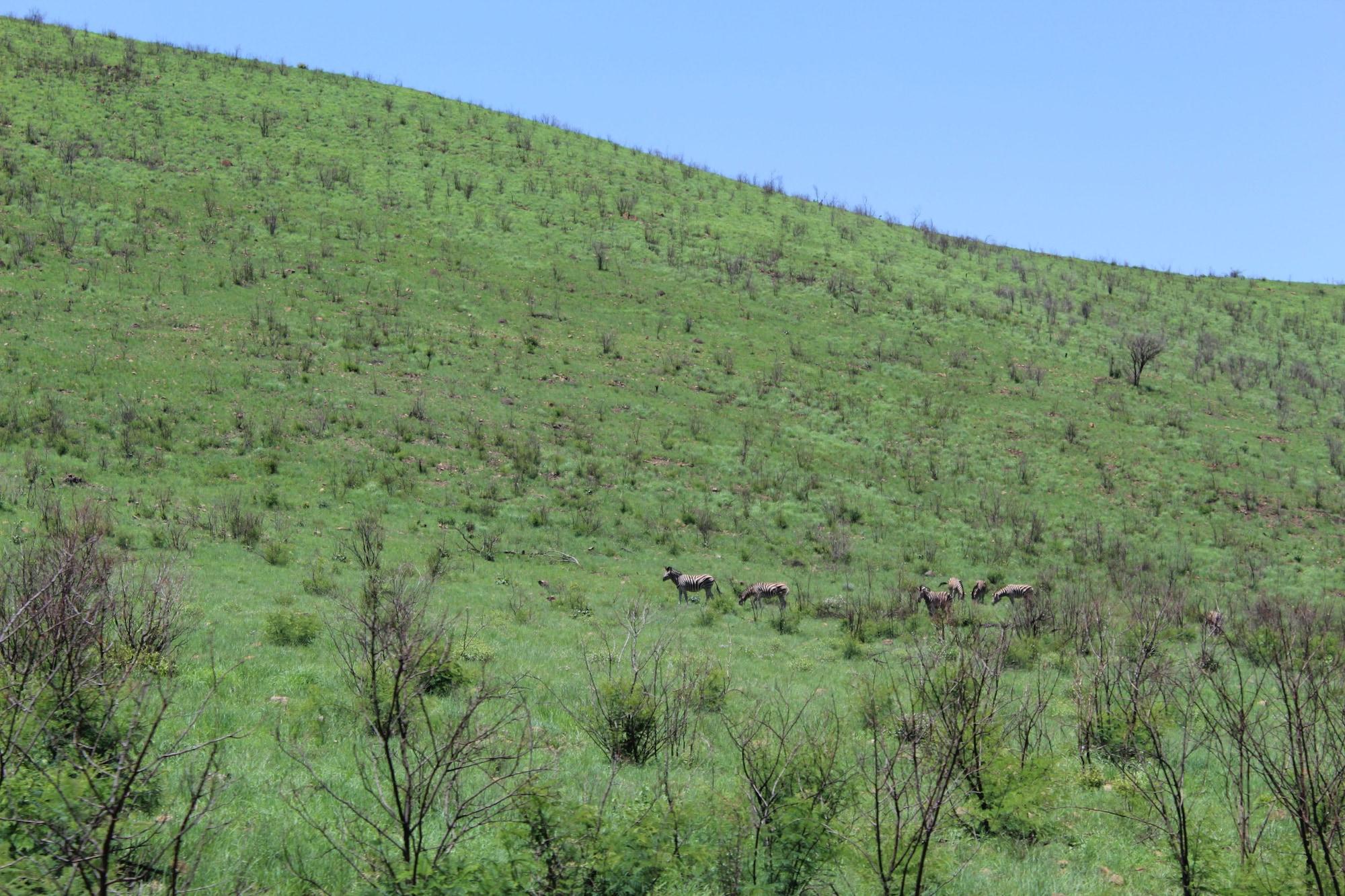 Instalaciones Recreativas Tshukudu Bush Lodge