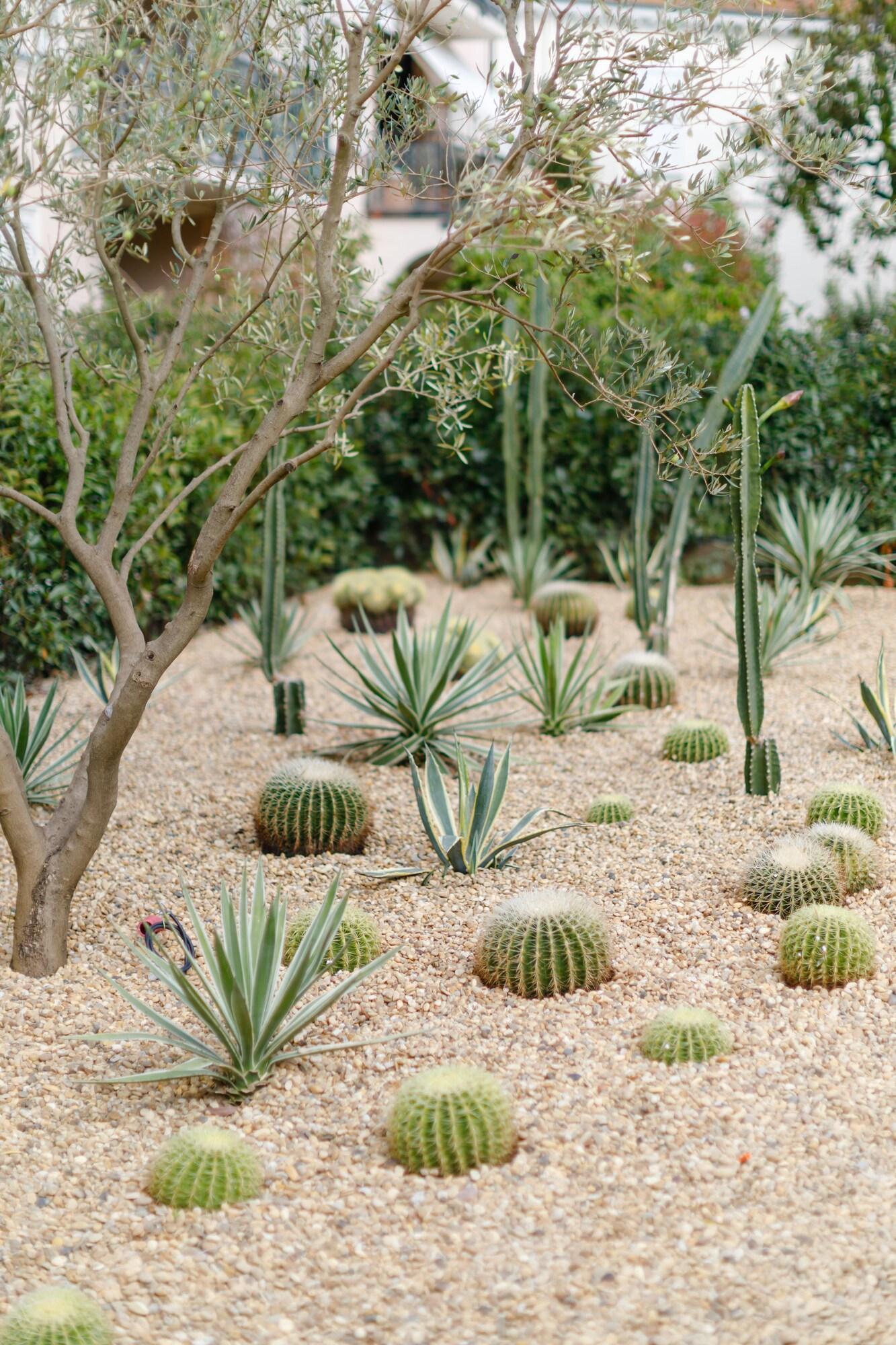 Varios Hotel Verlaine