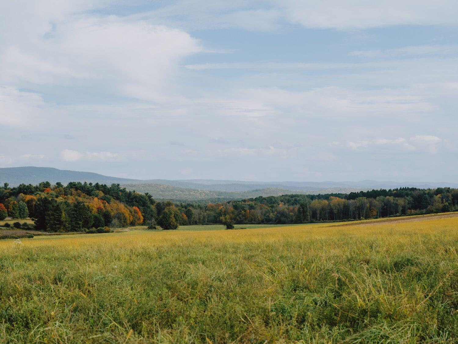 Vista Exterior Prospect Berkshires