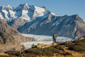 Alojamiento - Hotel Rhoneblick