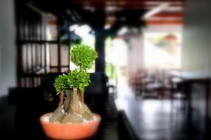 Alojamiento - Oasis Resort and Spa