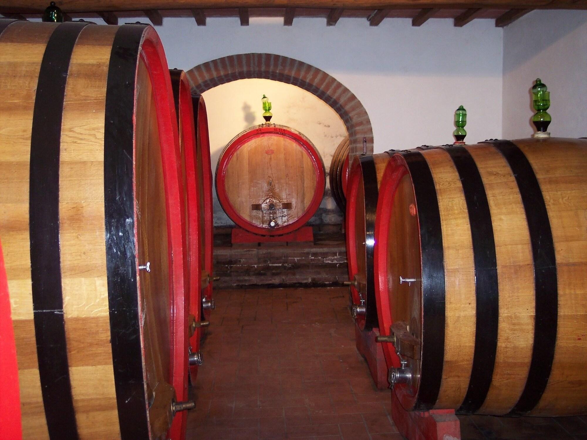 Instalaciones Recreativas Rocca degli Olivi