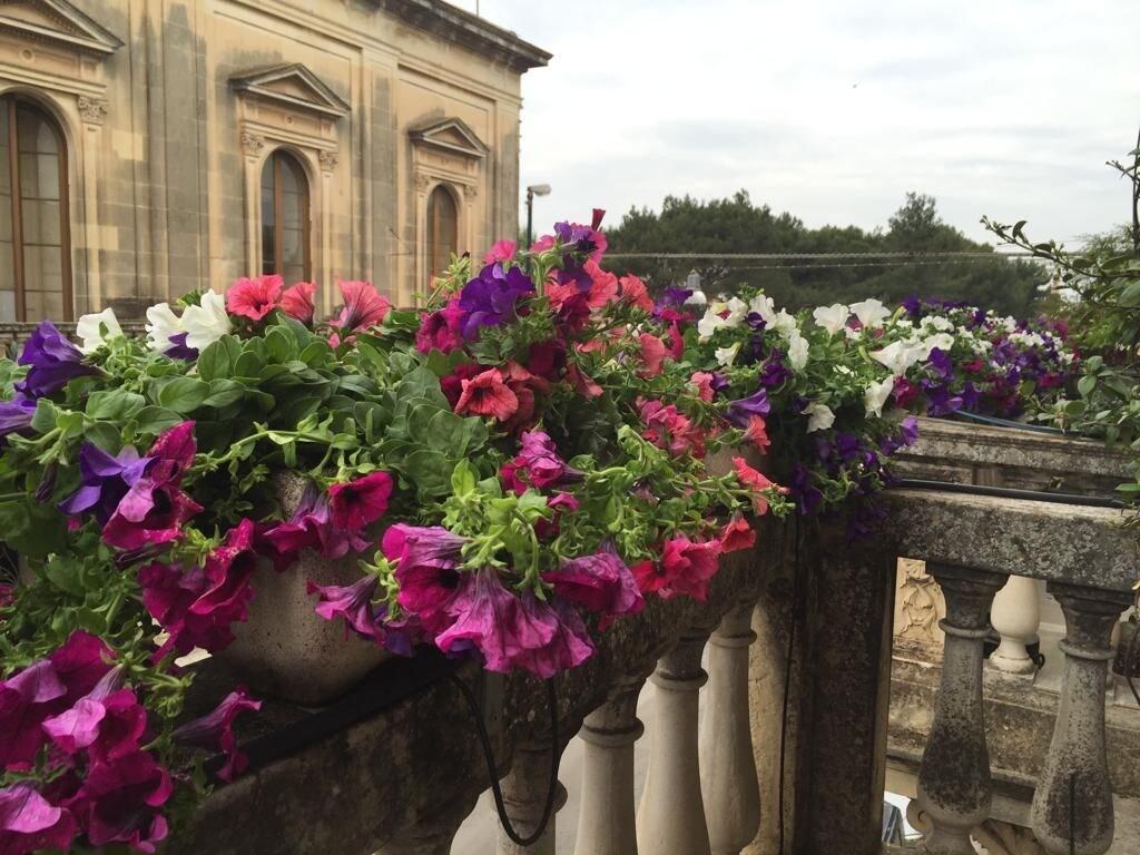 Varios La Dimora Delle Rondini