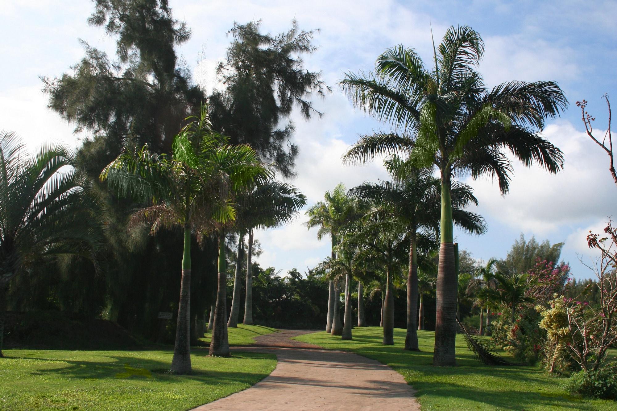 Vista Exterior Hawaii Island Retreat