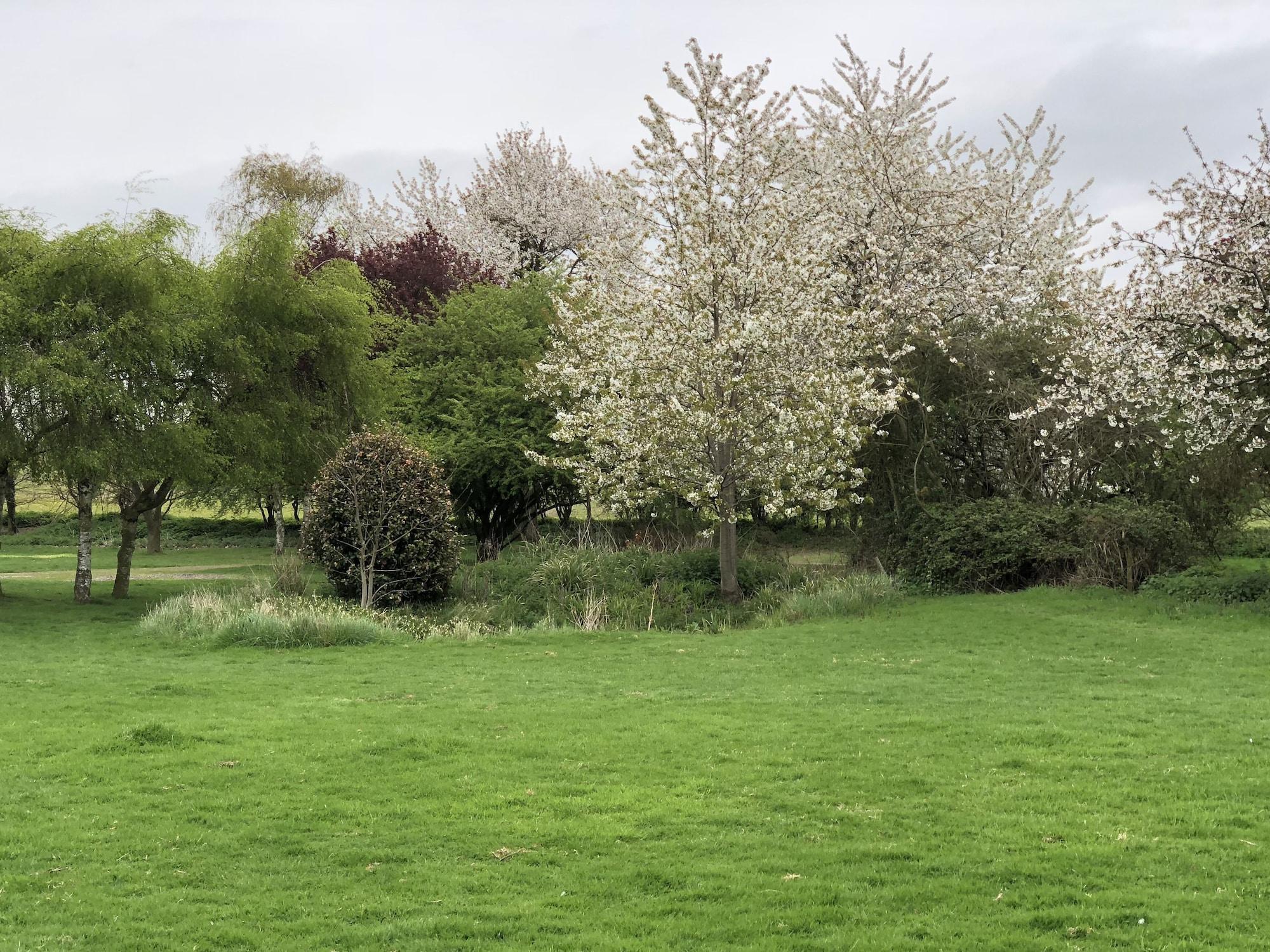 Vista Exterior Sibton White Horse Inn