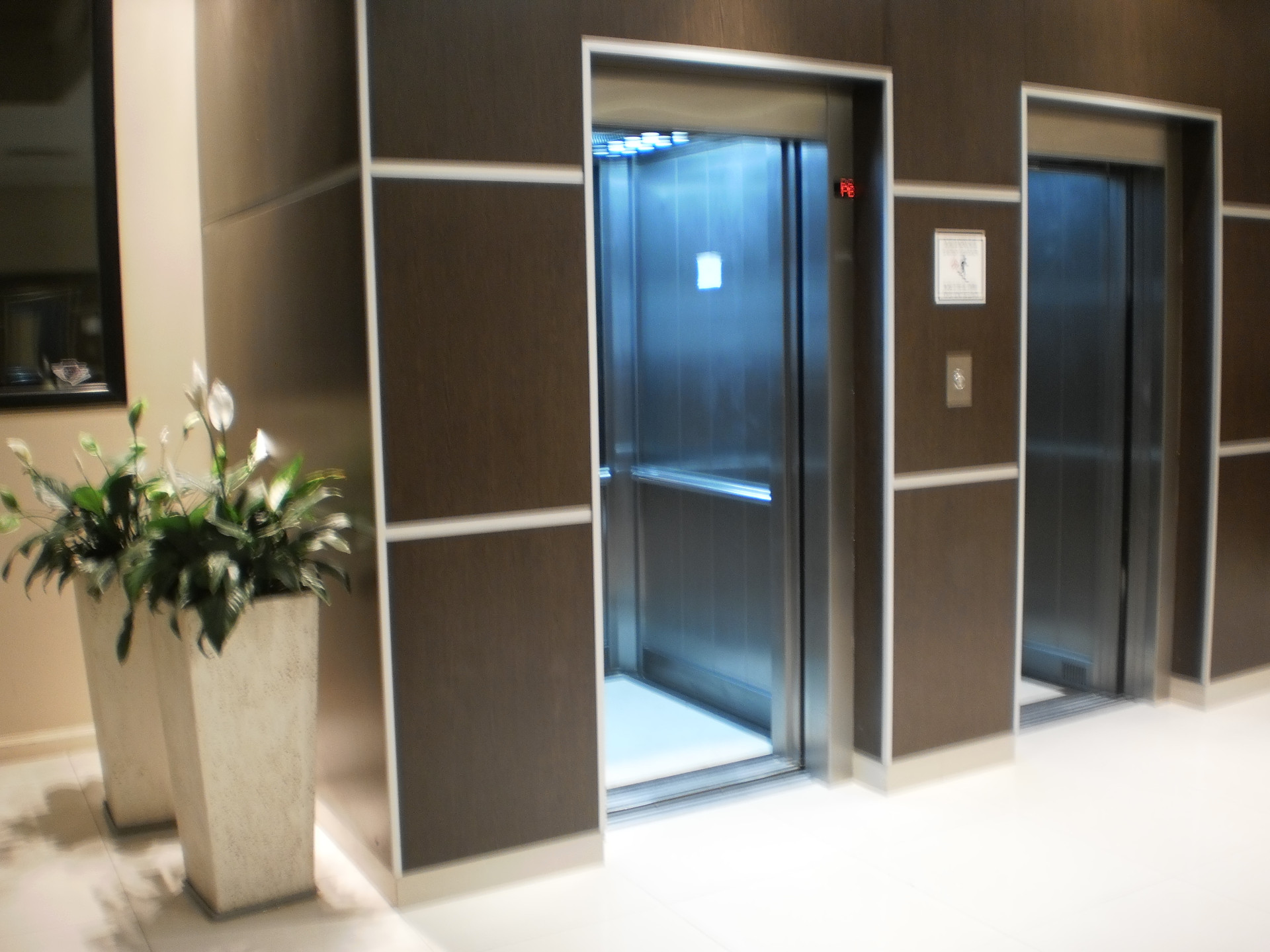 Vista Lobby Hathor Concordia