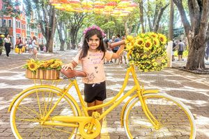 Actividad - Citytour Holambra 6 horas