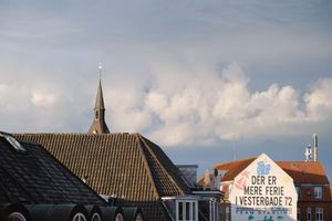 Actividad - Lo mejor de la ciudad de Odense - Tour privado a pie