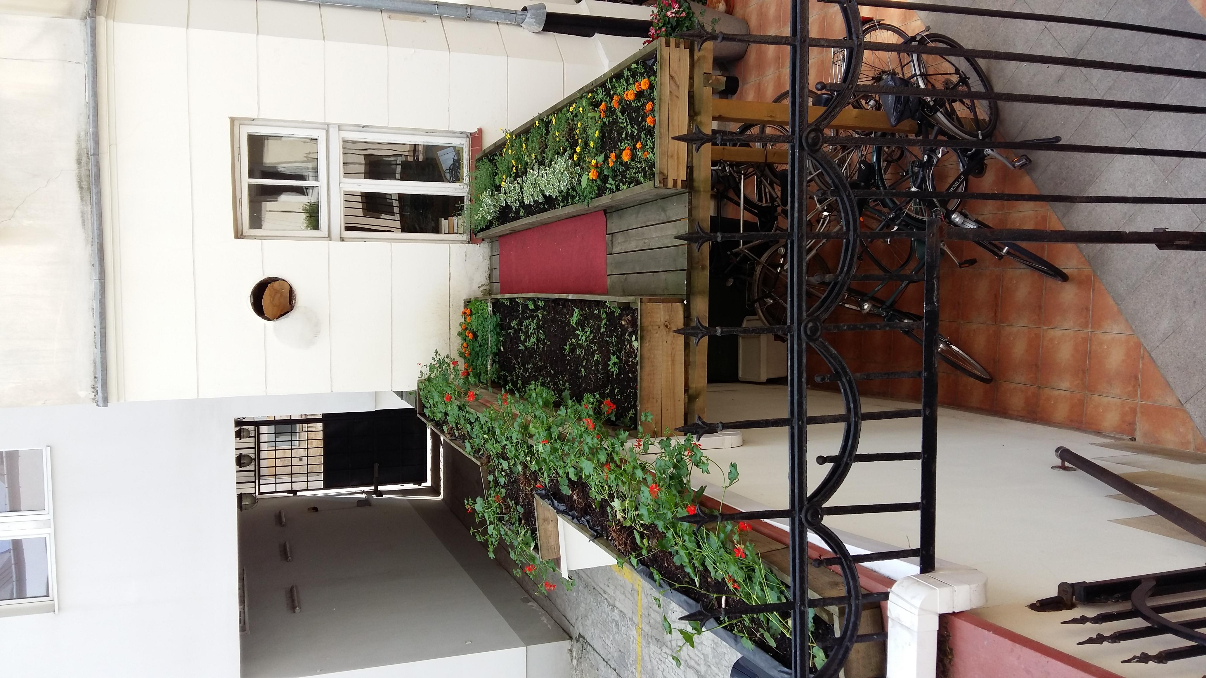 Varios Chopin Boutique