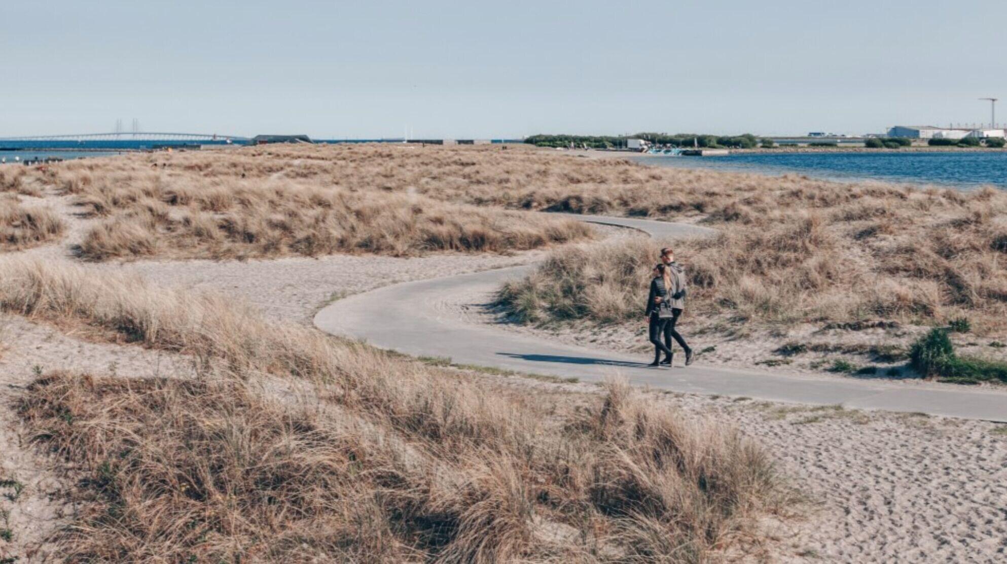 Playa South Studios by Daniel&Jacob's