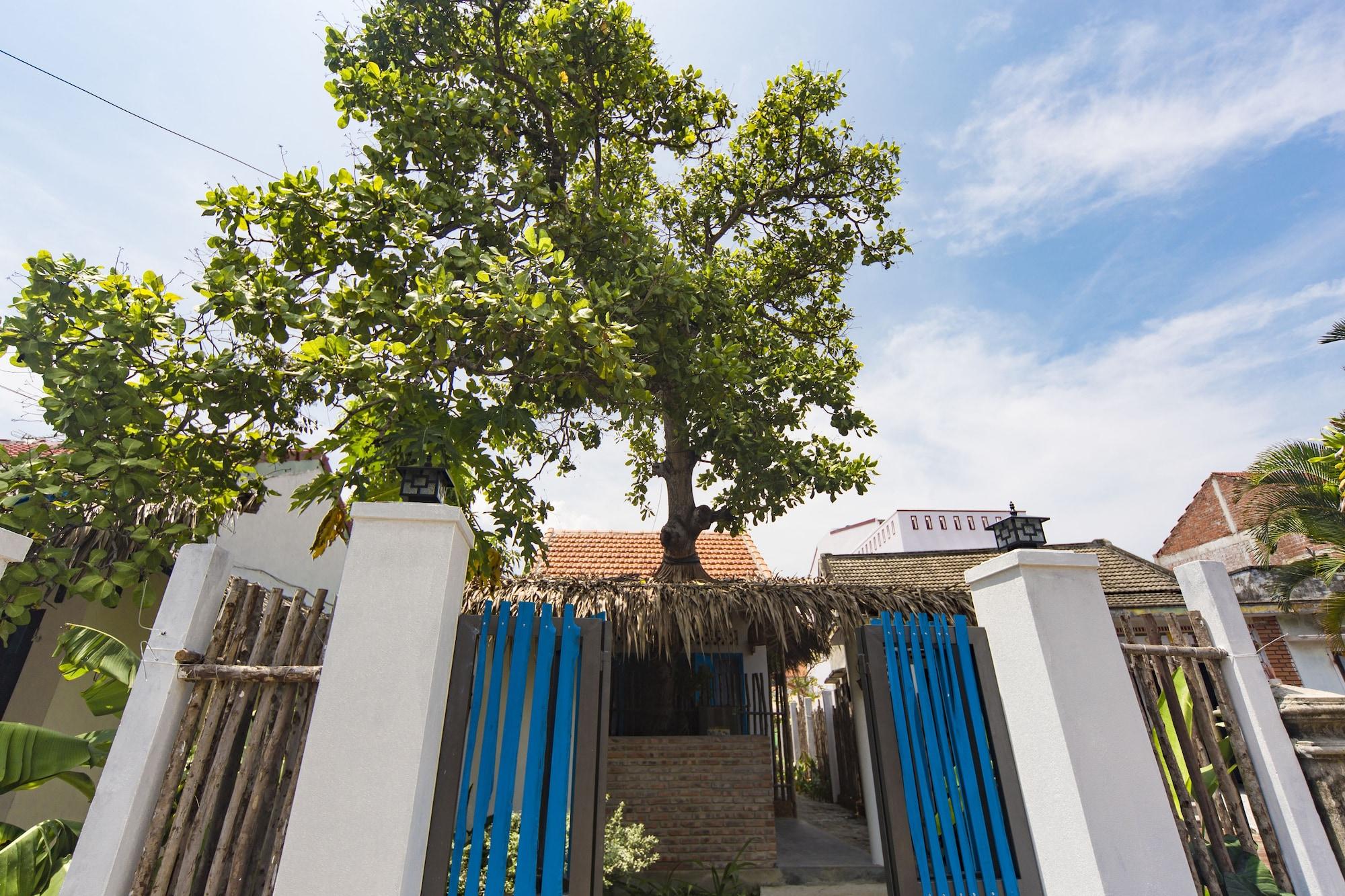 Vista Exterior Cashew Tree Bungalow